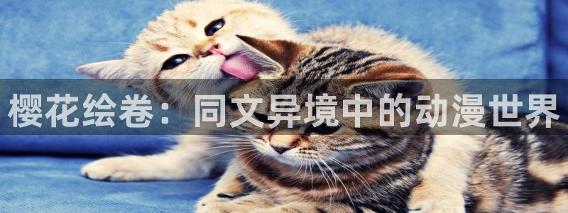 omofun.：樱花绘卷：同文异境中的动漫世界