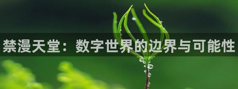 omofun动漫在线观看：禁漫天堂：数字世界的边界与可能性