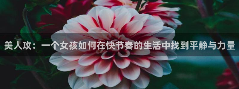 动漫omofun下载：美人攻：一个女孩如何在快节奏的生活中找到平静与力量