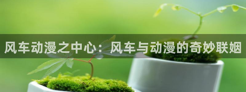 omofun网页版进入：风车动漫之中心：风车与动漫的奇妙联姻