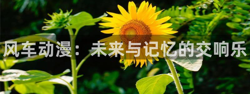 贝勒漫画下载入口最新：风车动漫：未来与记忆的交响乐