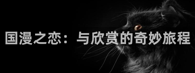 omofuns：国漫之恋：与欣赏的奇妙旅程