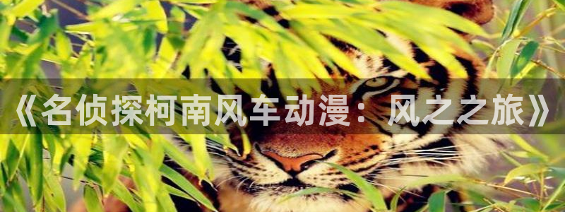 omofun动漫官网下载：《名侦探柯南风车动漫：风之之旅》