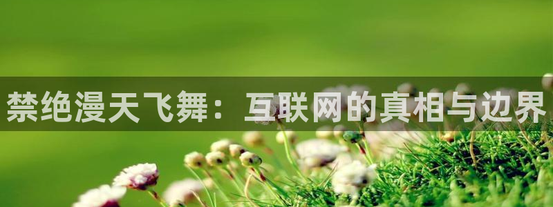 omofun的官网：禁绝漫天飞舞：互联网的真相与边界