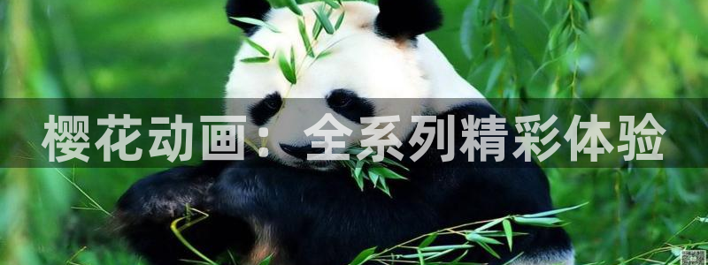 omofunapp官网下载：樱花动画：全系列精彩体验