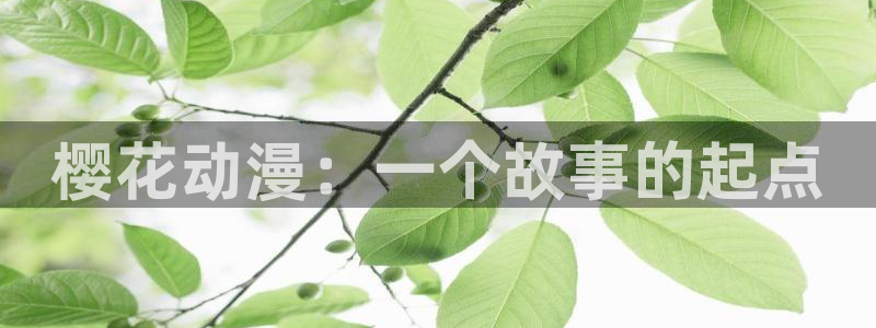 omofun纯净版：樱花动漫：一个故事的起点