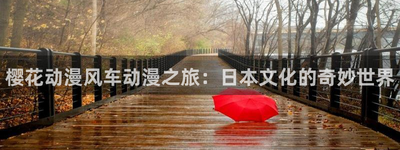 omofun最新官方下载：樱花动漫风车动漫之旅：日本文化的奇妙世界