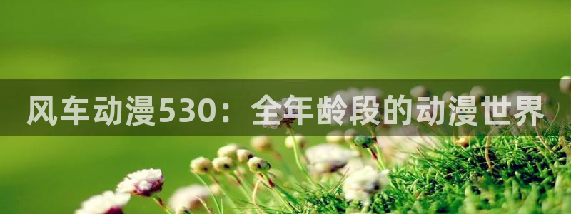 omofun动漫旧版本：风车动漫530：全年龄段的动漫世界